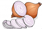 Ailsa Craig 'Prizewinner' , Onion